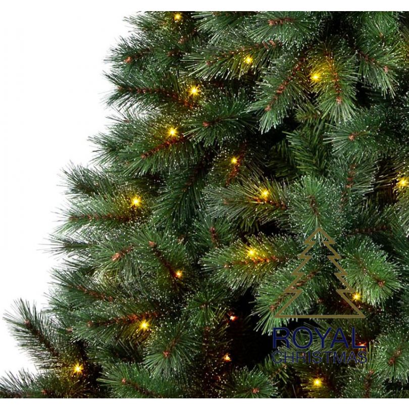 Prescott Christmas Trees 2022 Melfort Artificial Christmas Tree - Pp / Pvc Warm Led 180 Cm - Artificial Christmas  Tree, Pp / Pvc Material Mix, Top Quality! Artificial Christmas Tree Forest  Frosted - Triumph Tree - 180 Cm